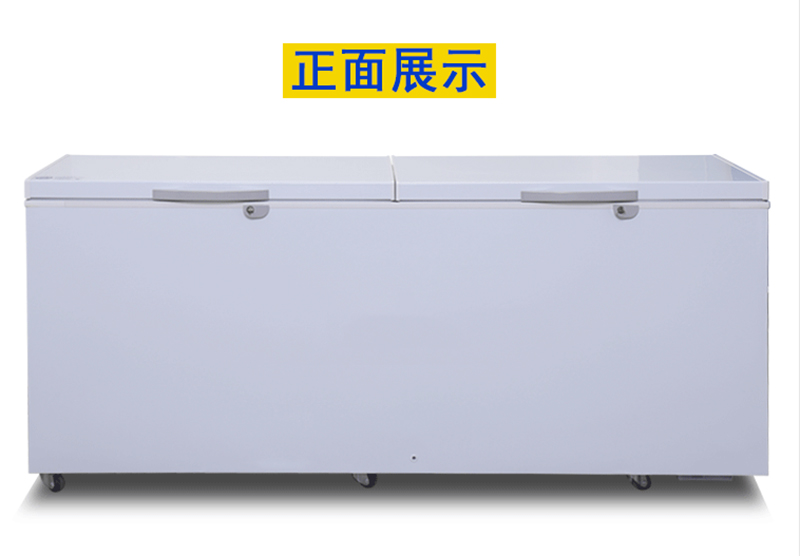 卧式低温防爆冰柜-25度 卧式低温防爆冰柜-25度